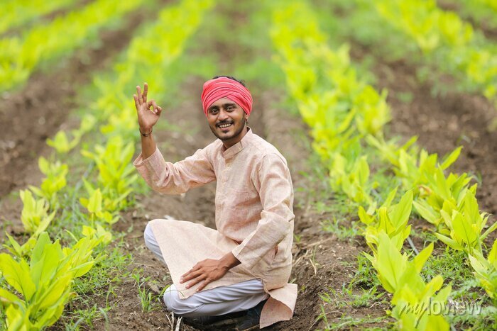 Farmer in turmeric field
