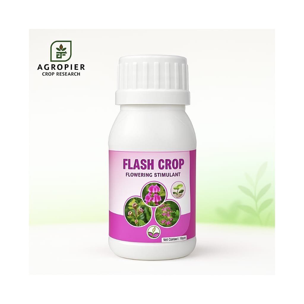 flash crop (flowering) flash crop (flowering)